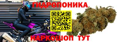 винт Волжский