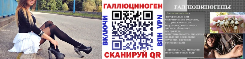 Псилоцибиновые грибы Psilocybe Кемерово