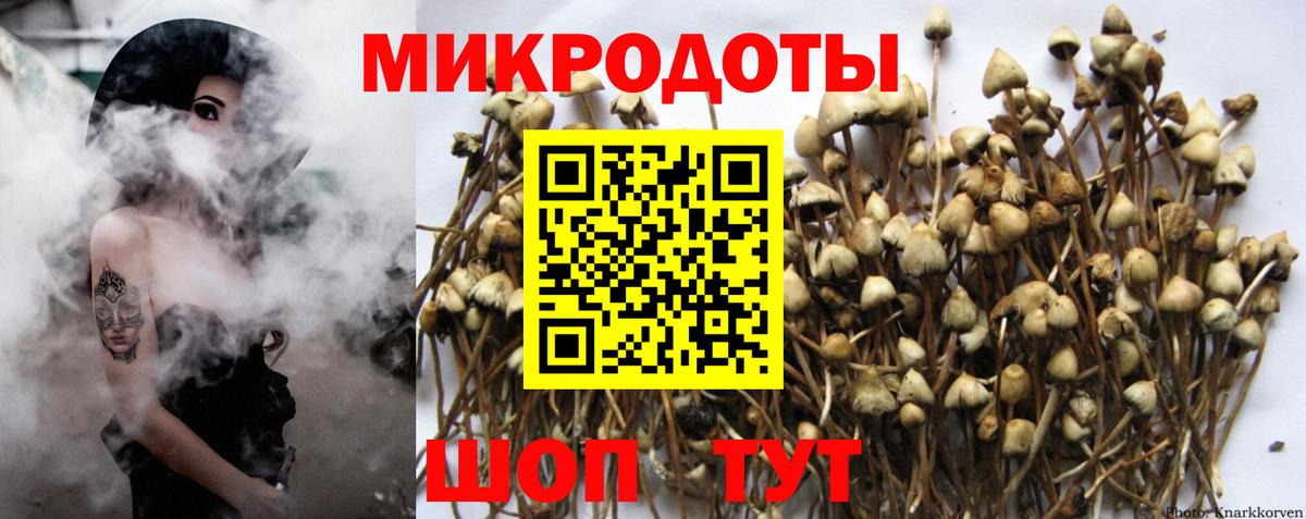 где найти   Вход с VPN  Кемерово  Галлюциногенные грибы Psilocybe 