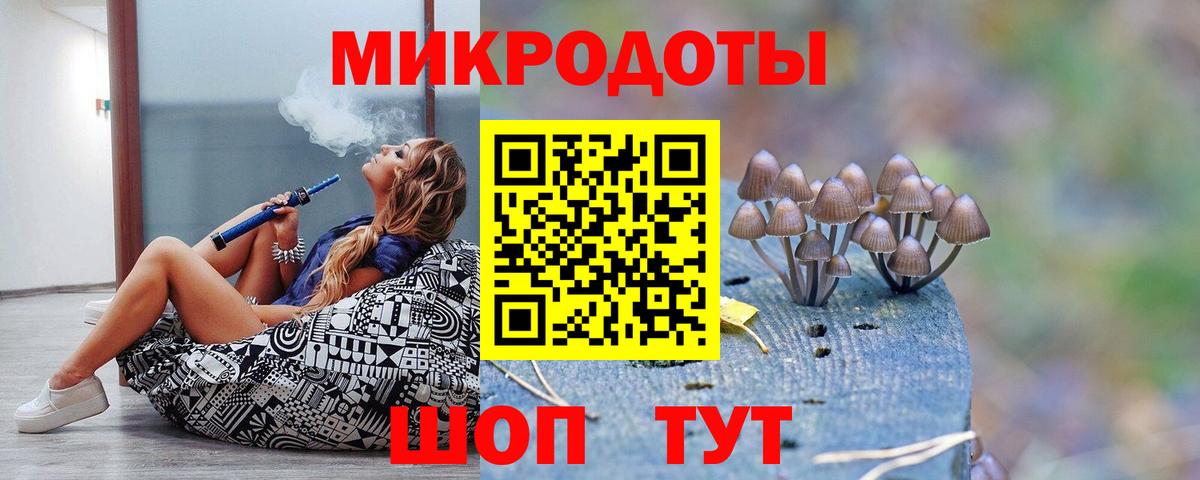 Псилоцибиновые грибы GOLDEN TEACHER Кемерово